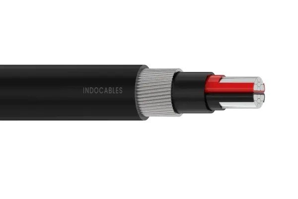 LV-60 2 Core Steel Wire Armoured Copper Cable